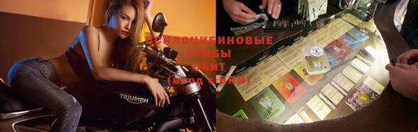 а пвп мука Иннополис