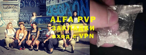 эйфоретик Инсар